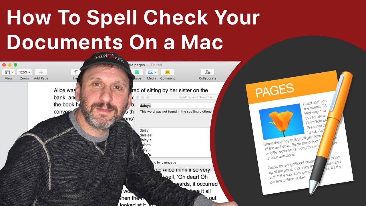 word for mac has stopped checking spelling